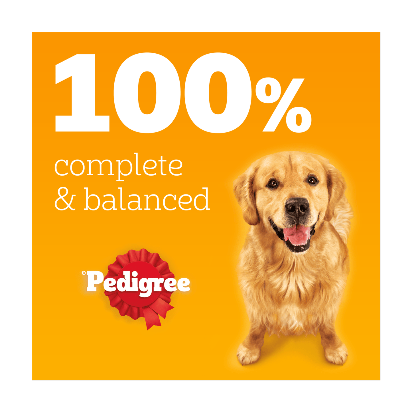 PEDIGREE¬Æ Adult Wet Dog Food Original in Loaf 400g Can - UK Food & Drink - 5000166014793