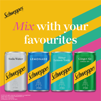 Schweppes Canada Dry Ginger Ale 12 x 150ml - UK Food & Drink - 5000193035143