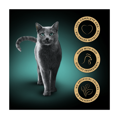 Sheba Select Slices Adult Cat Food Tray with Chicken in Gravy 85g - UK Food & Drink - 4008429070426