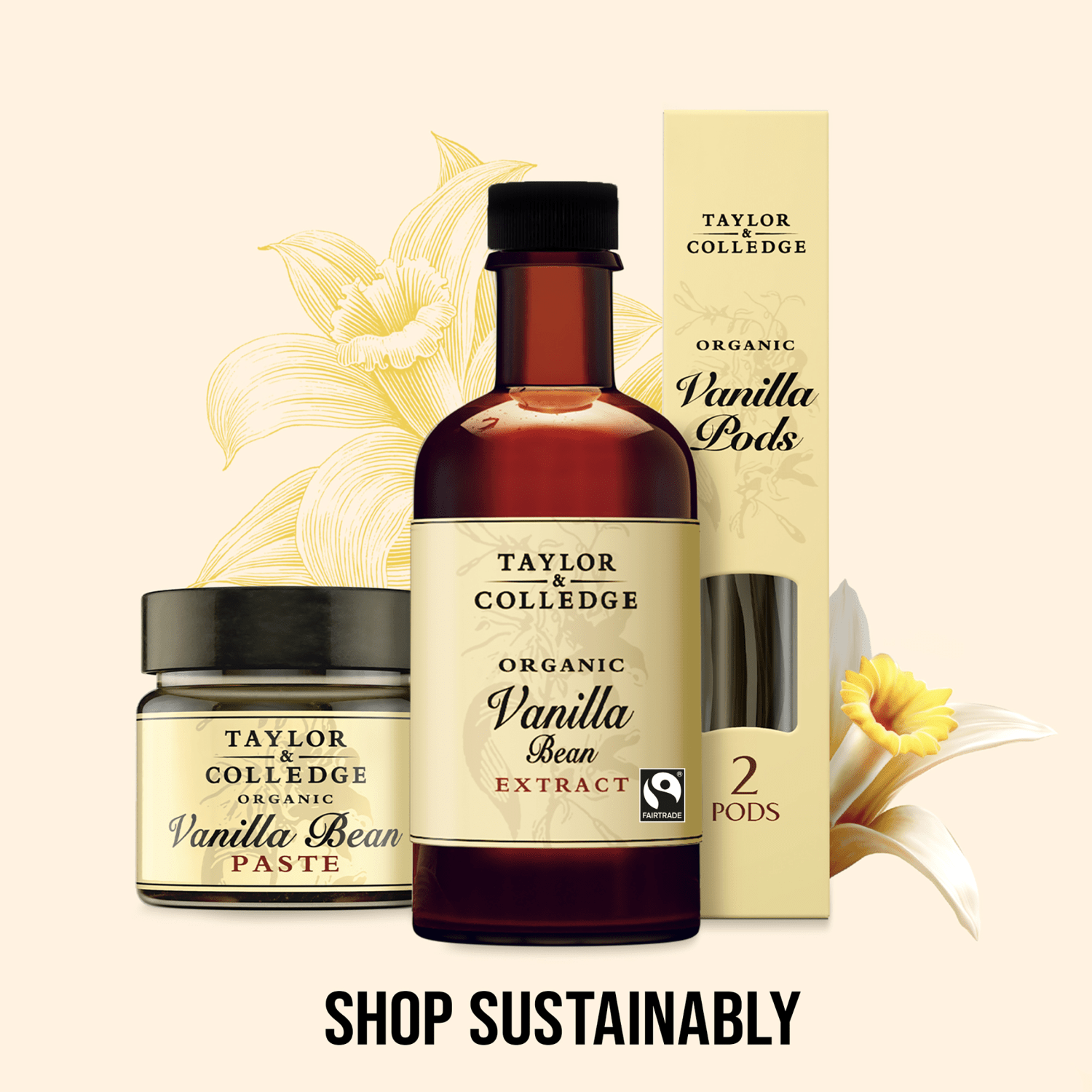 Taylor & Colledge Fairtrade Organic Vanilla Bean Extract 100ml - UK Food & Drink - 9300641001079