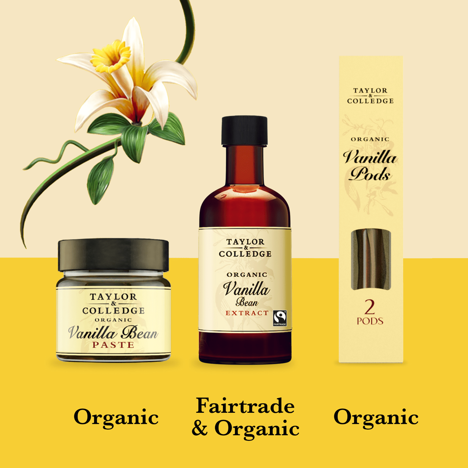Taylor & Colledge Fairtrade Organic Vanilla Bean Extract 100ml - UK Food & Drink - 9300641001079
