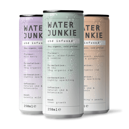 WaterJunkie CBD Infused White Peach Passionflower & Ginger 250ml - UK Food & Drink - 5070002715313
