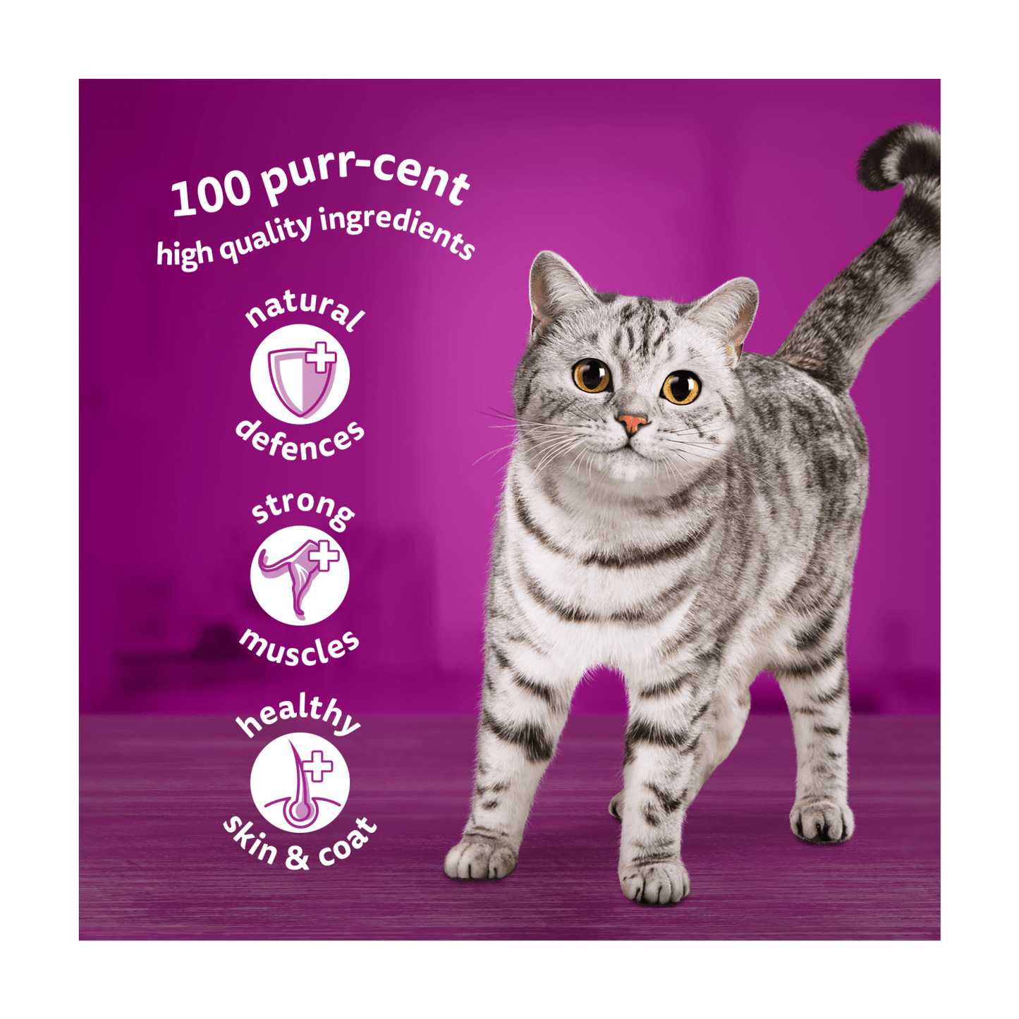 Whiskas 1+ Fish Favourites Adult Wet Cat Food Pouches in Jelly 40 x 85g - UK Food & Drink - 5900951303159