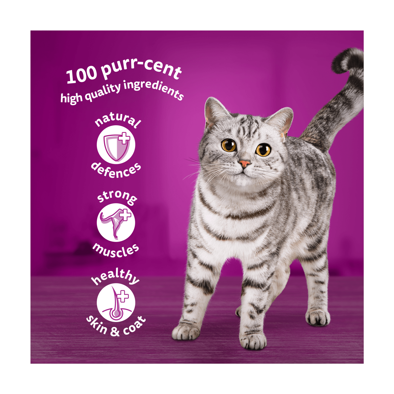 Whiskas 1+ Mixed Menu Adult Wet Cat Food Pouches in Jelly 12 x 85g - UK Food & Drink - 5000166157292