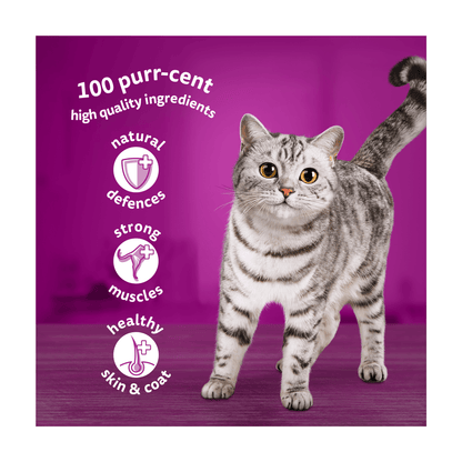 Whiskas 1+ Mixed Menu Adult Wet Cat Food Pouches in Jelly 12 x 85g - UK Food & Drink - 5000166157292