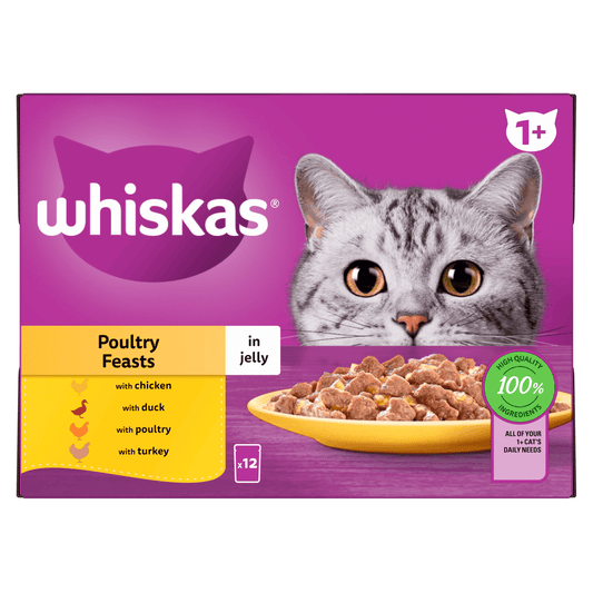Whiskas 1+ Poultry Feasts Adult Wet Cat Food Pouches in Jelly 12 x 85g - UK Food & Drink - 5900951303135