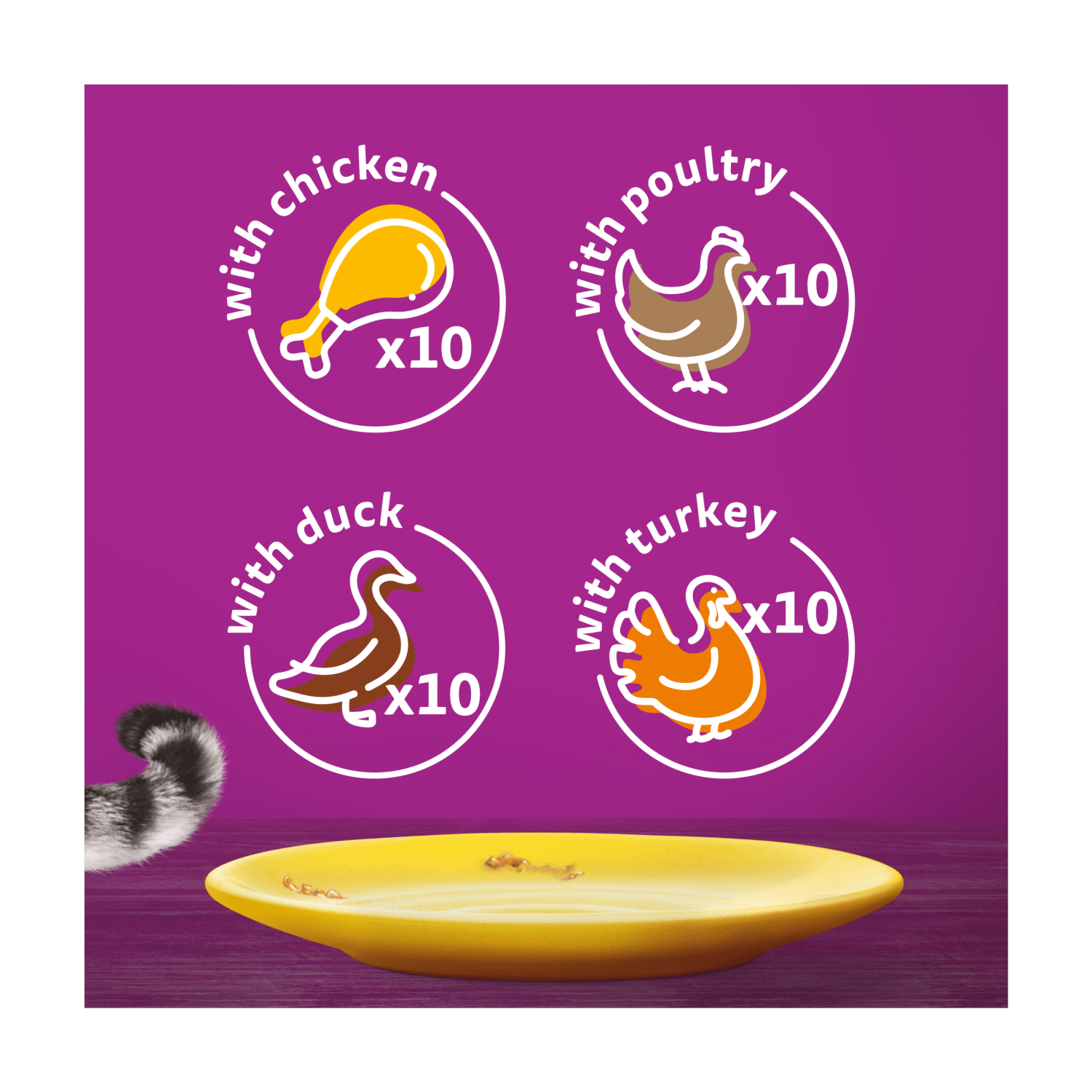 Whiskas 7+ Poultry Feasts Senior Wet Cat Food Pouches in Jelly 40 x 85g - UK Food & Drink - 5000166157445