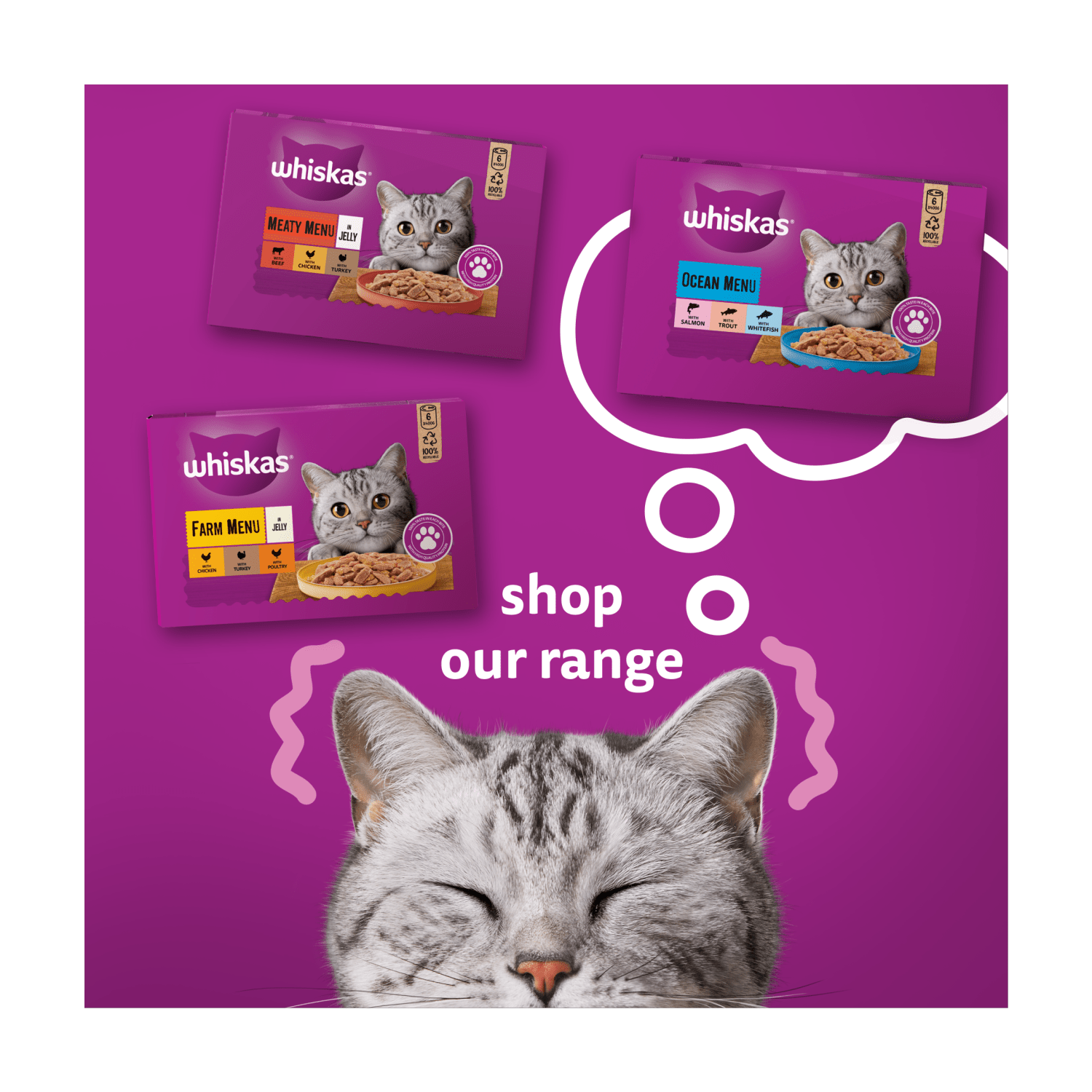 Whiskas Adult Wet Cat Food Salmon in Jelly Tin 400g - UK Food & Drink - 5000166157704