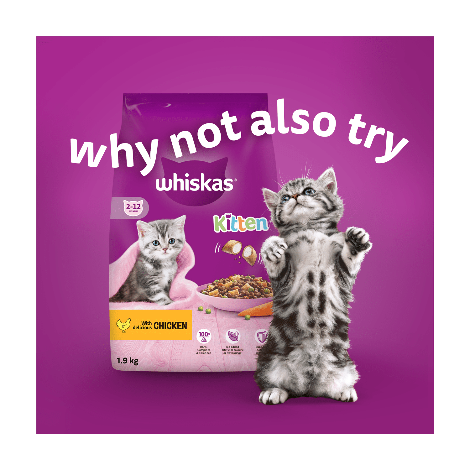 Whiskas Kitten Fish Favourites Wet Cat Food Pouches in Jelly 12 x 85g - UK Food & Drink - 5000166157476