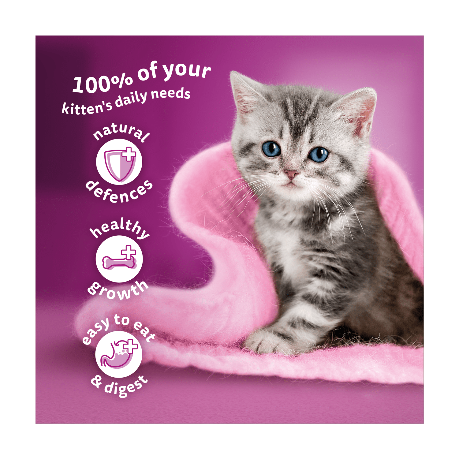 Whiskas Kitten Mixed Menu Wet Cat Food Pouches in Jelly 12 x 85g - UK Food & Drink - 5000166157483