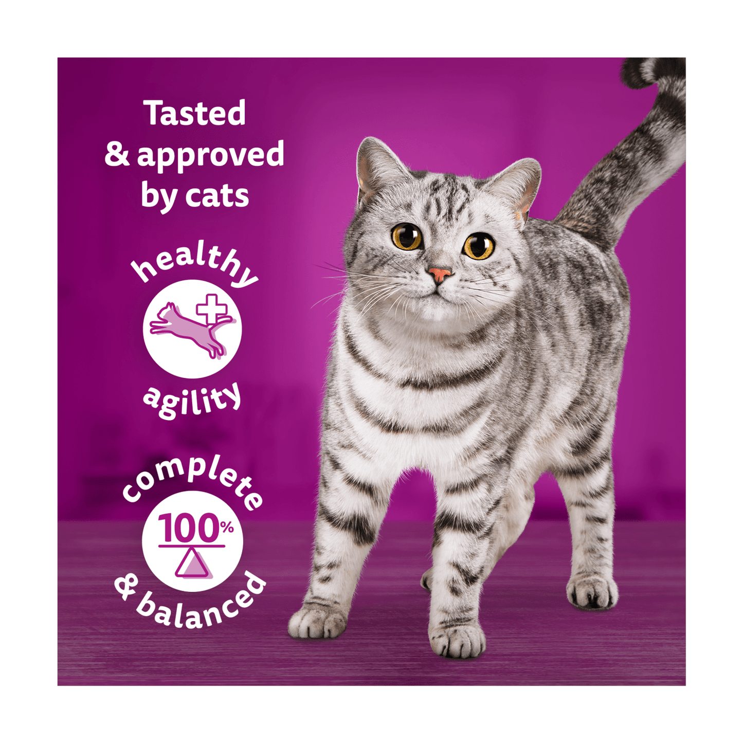 Whiskas Tasty Mix Chef's Choice in Gravy 12 x 85g (1.02kg) - UK Food & Drink - 4008429155994