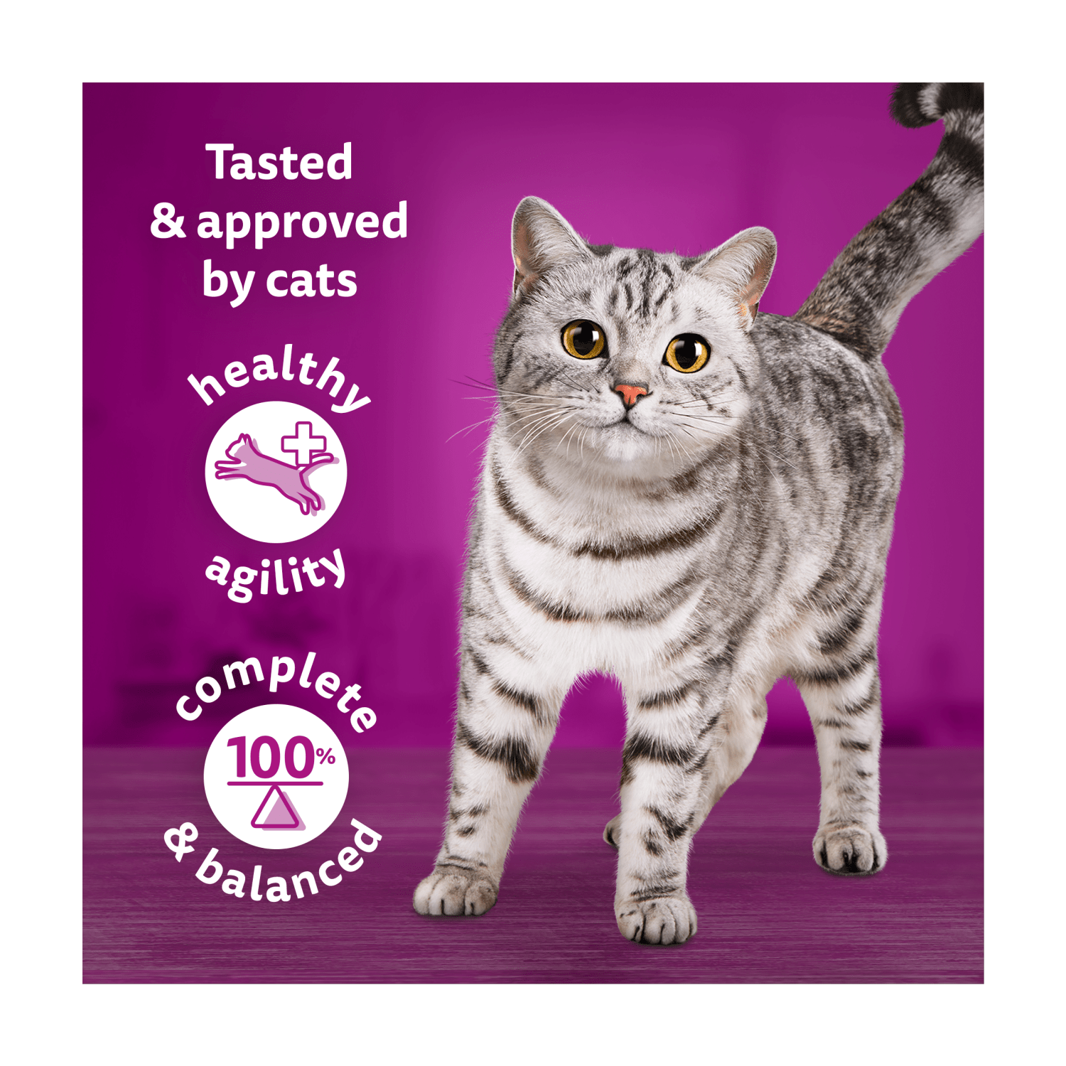 Whiskas Tasty Mix Chef's Choice in Gravy 12 x 85g (1.02kg) - UK Food & Drink - 4008429155994