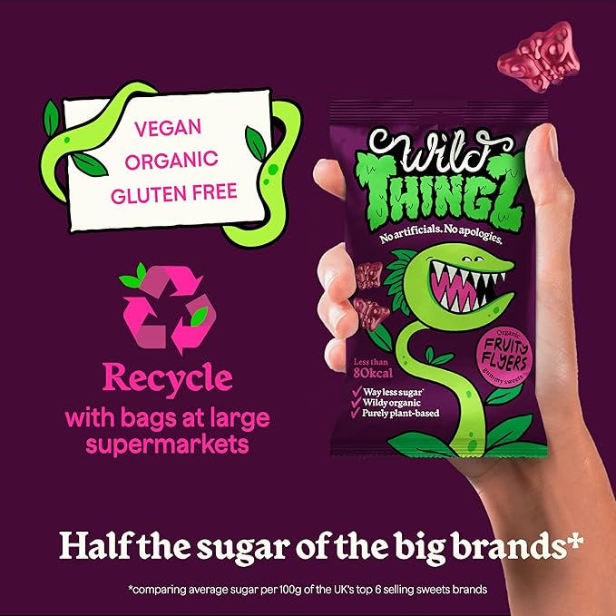 Wild Thingz Organic & Vegan Sweets Fruity Flyers 25g - UK Food & Drink - 5022775000301